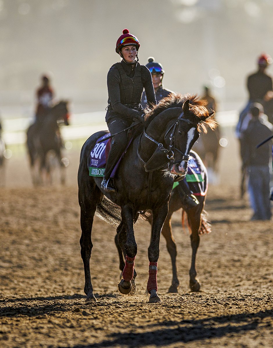 A_Evers's tweet image. Auguste Rodin @santaanitapark Im going to cherish every moment. #BreedersCup #ディープインパクト
