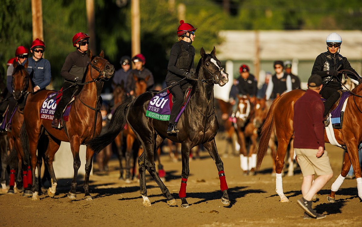 A_Evers's tweet image. Auguste Rodin @santaanitapark Im going to cherish every moment. #BreedersCup #ディープインパクト