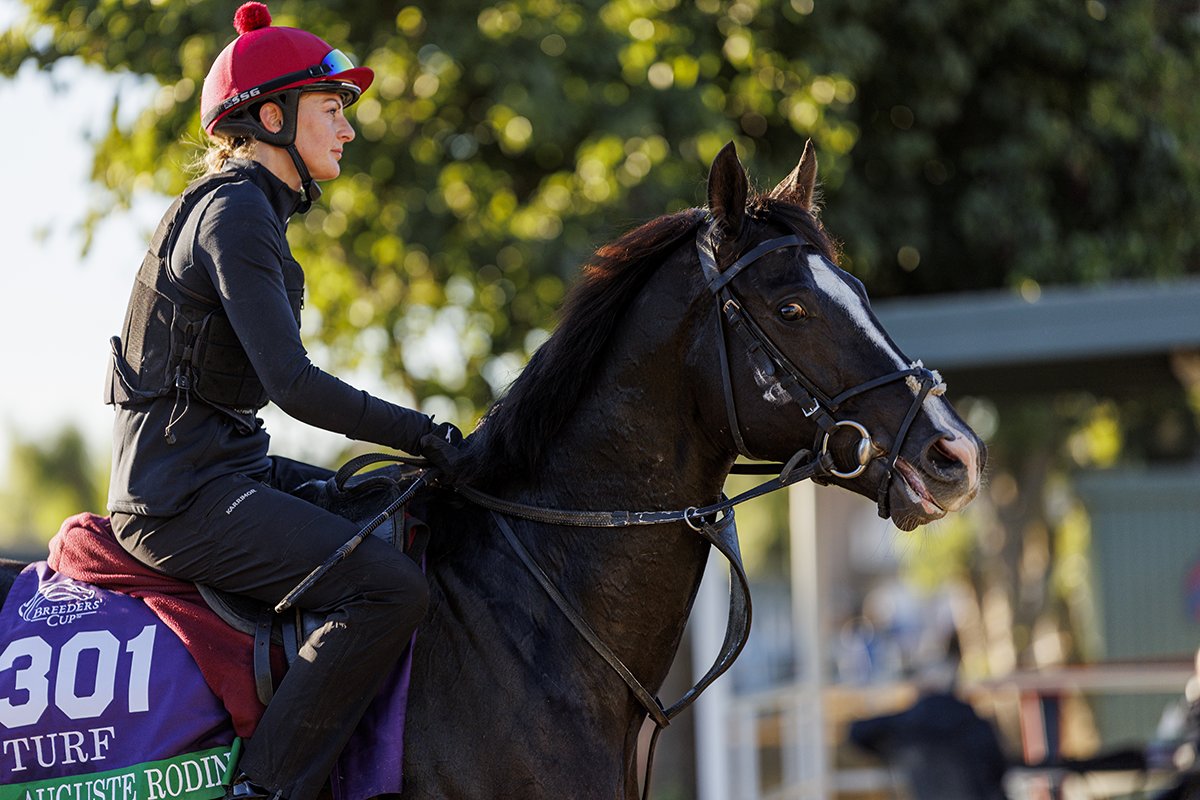 A_Evers's tweet image. Auguste Rodin @santaanitapark Im going to cherish every moment. #BreedersCup #ディープインパクト