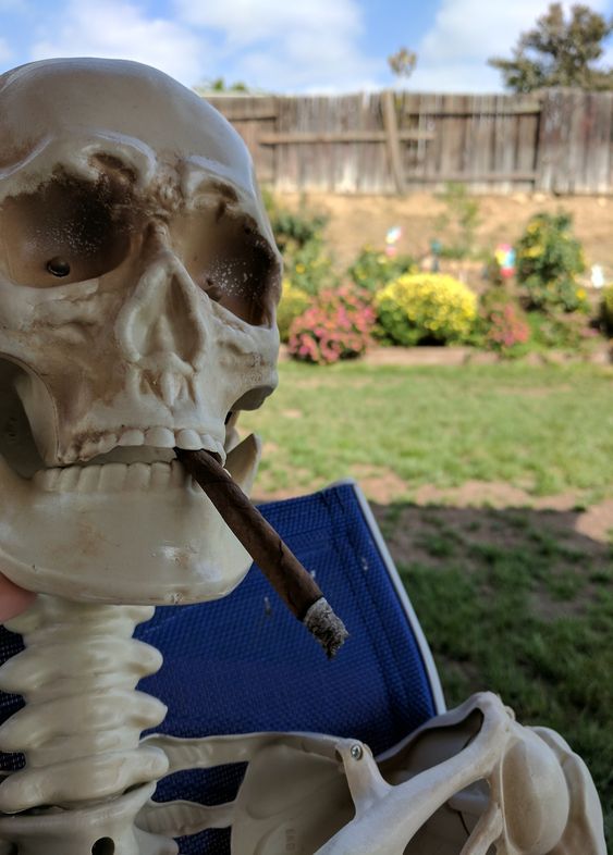 Lightshade tweet media