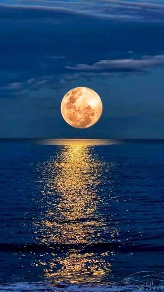 Goodnight friends ! #photos #photography #night #moonlight