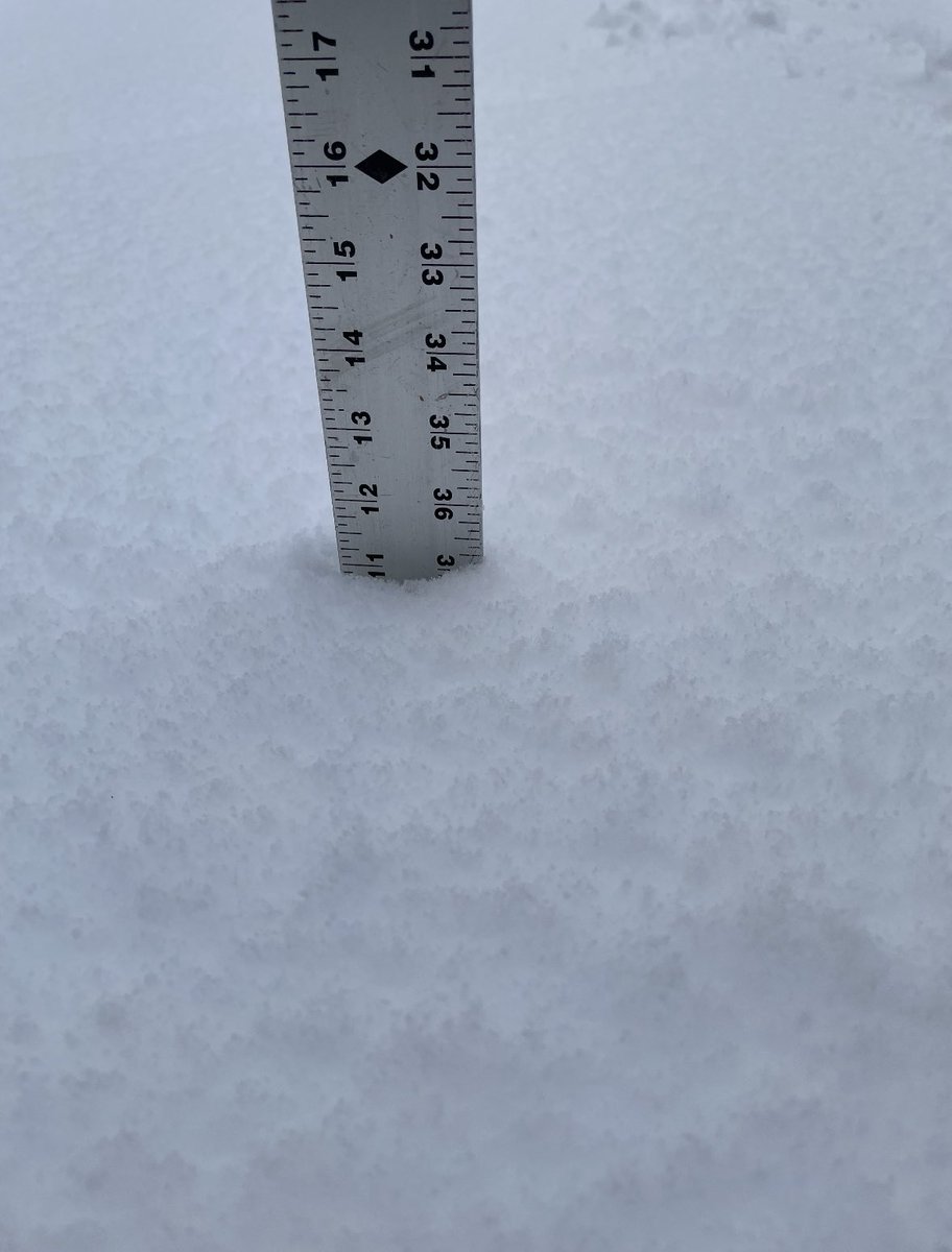 wxcoleengle's tweet image. Nearly A FOOT of snow in my parents backyard in Norton Shores… absolutely insane! @NWSGrandRapids @wxblakeharms @WXSamantha #wmiwx #miwx