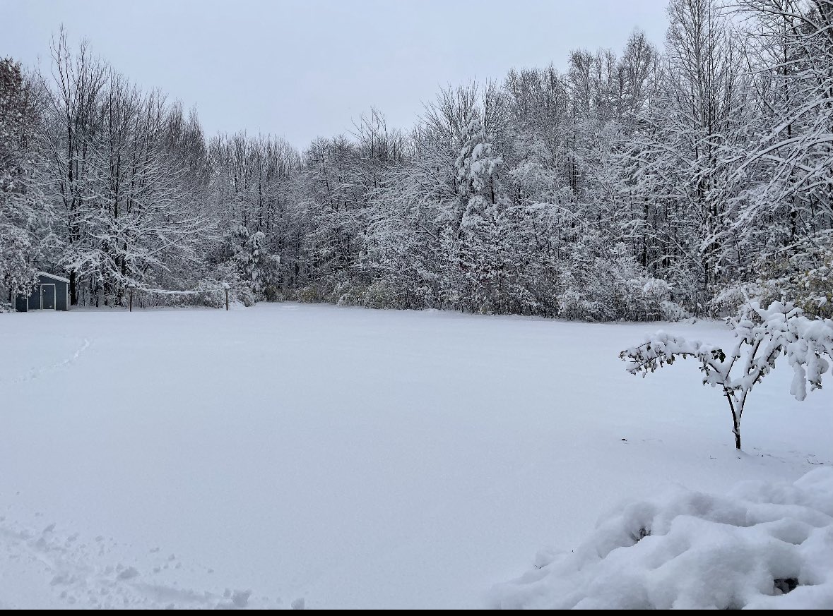 wxcoleengle's tweet image. Nearly A FOOT of snow in my parents backyard in Norton Shores… absolutely insane! @NWSGrandRapids @wxblakeharms @WXSamantha #wmiwx #miwx