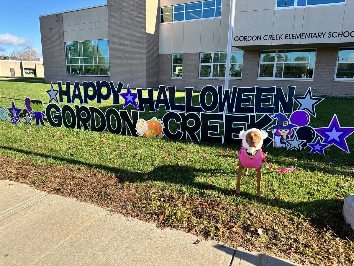 Ruby the Therapy Dog tweet media