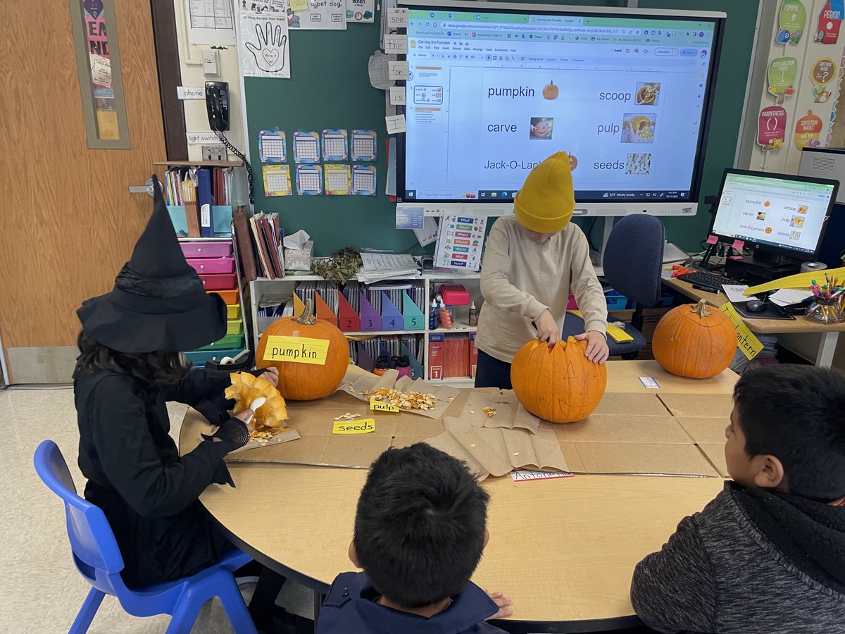 Ss were thrilled with this hands on activity. ELL students learned new vocabulary while scooping and cleaning out the pumpkin!  😀🎃 ⁦<a href="/evedaza91/">Dr. Evelyn Perez-Daza</a>⁩ ⁦<a href="/LBSchoolsNY/">LongBeachSchools</a>⁩ ⁦<a href="/CZawatson/">Cristine Zawatson</a>⁩ ⁦<a href="/24Kath/">Kathy Connolly</a>⁩