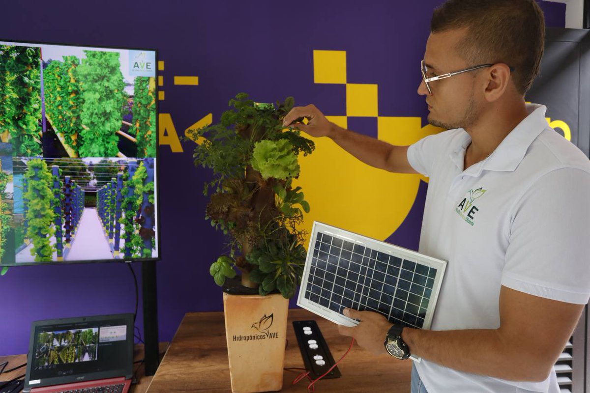 AlcaldiadeMed's tweet image. ¡Qué felicidad! 👏👏👏 Hoy Medellín cuenta con 1️⃣1️⃣ Centros del #ValleDelSoftware.

Abrimos las puertas del CVS en el Doce de Octubre, donde más de 180.000 habitantes disfrutarán de talleres, muestras tecnológicas, bootcamps, coworking y programas 💻.