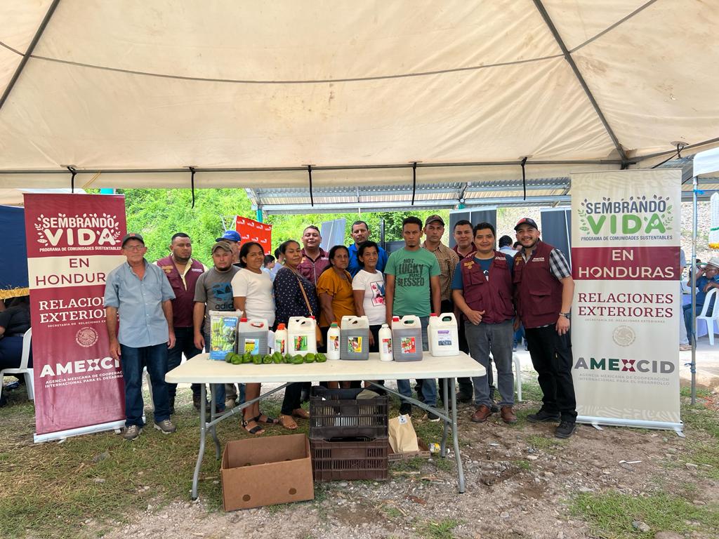 La producción de #InsumosOrgánicos por parte de las y los  beneficiarios de #SembrandoVida en #Honduras ha permitido que generen ingresos adicionales al comercializar los productos elaborados, por ellos mismos, adicional al beneficio de usarlos en sus propias cosechas.