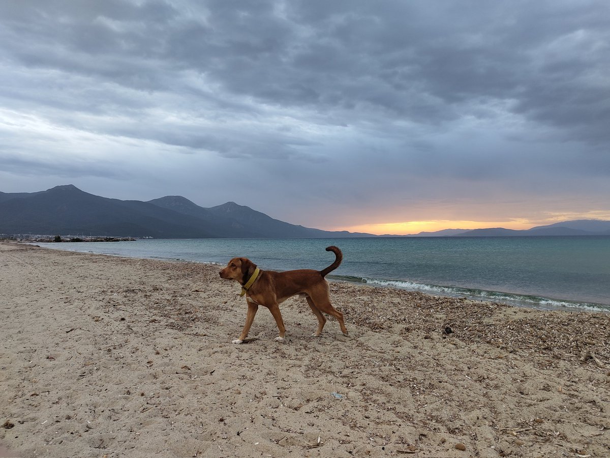 Leonard Burger tweet media