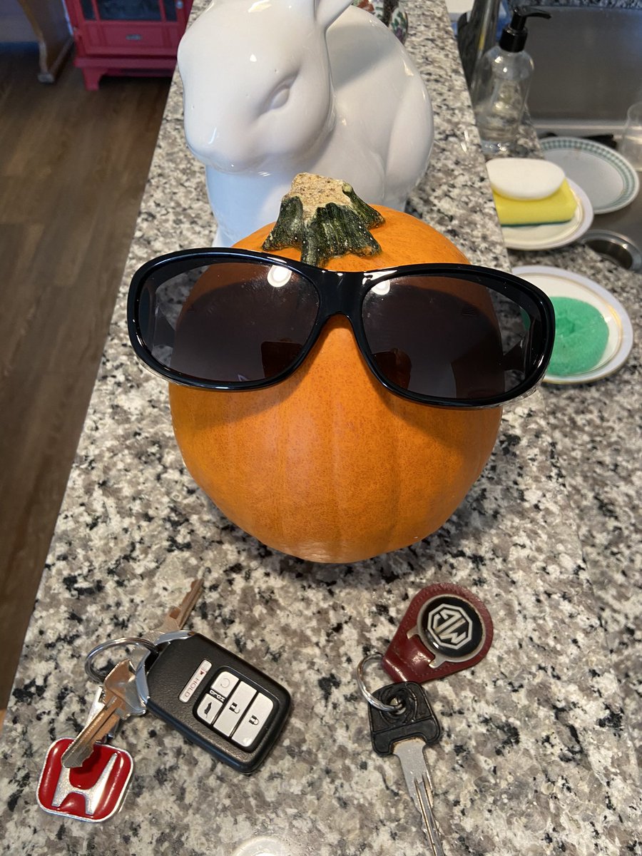 guyplusdog's tweet photo. 😎🎃Happy Halloween!🎃😎 https://t.co/AdFjrfLZ6v