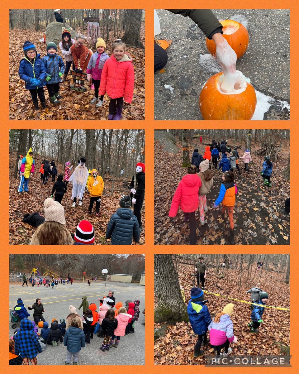 A pumpkin cauldron with a chemical reaction, choral reading of witches’ chants, a choice of a spooky or not spooky hike…so much fun on Halloween! <a href="/MacaulayPS/">Macaulay PS</a> <a href="/TLDSB/">TLDSB</a> <a href="/TLDSB_Pathways/">TLDSB Pathways</a> <a href="/CurriculumTldsb/">TLDSBCurriculum</a> #TakeMeOutsideDay <a href="/taniasteele26/">Tania Steele</a> #TheLandWeLearnFromTLDSB
