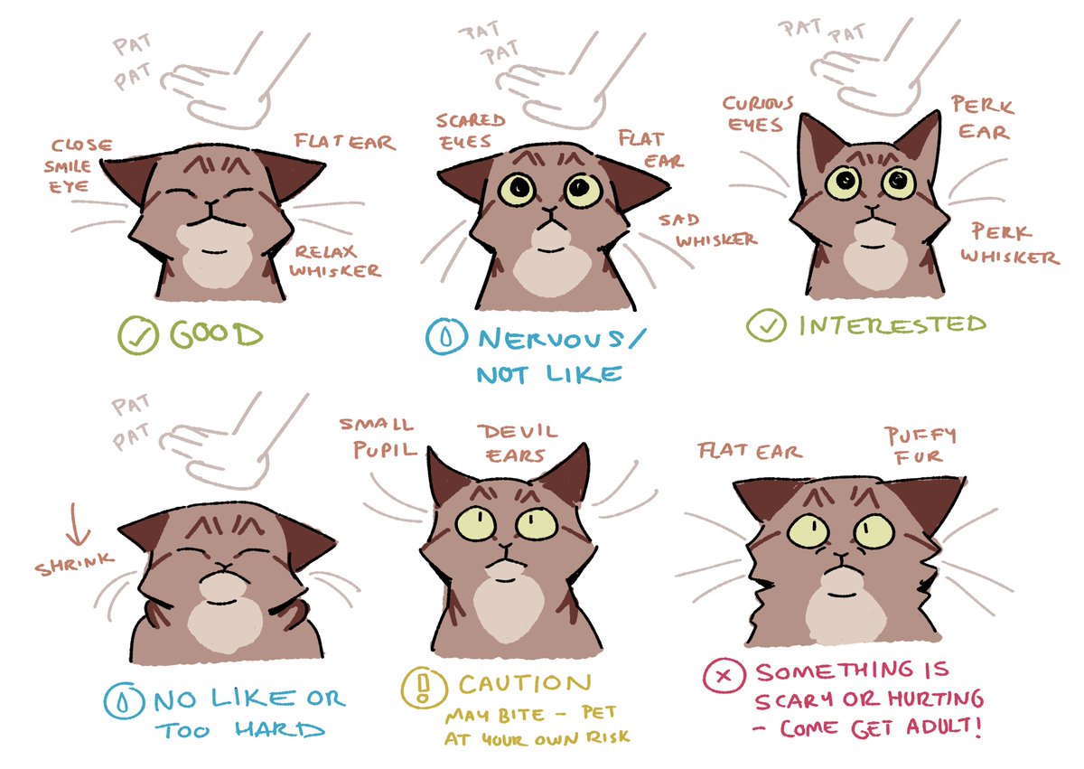 i made a chart to help our kid understand our cats' body language better when petting