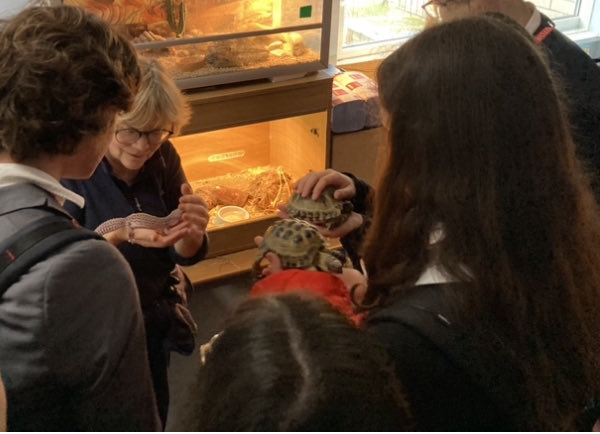 sm6form's tweet image. Many thanks to Mrs Campbell for a great talk about the Farm to our Spanish visitors ⁦@stmhofficial⁩ ⁦@LDSTEducation⁩