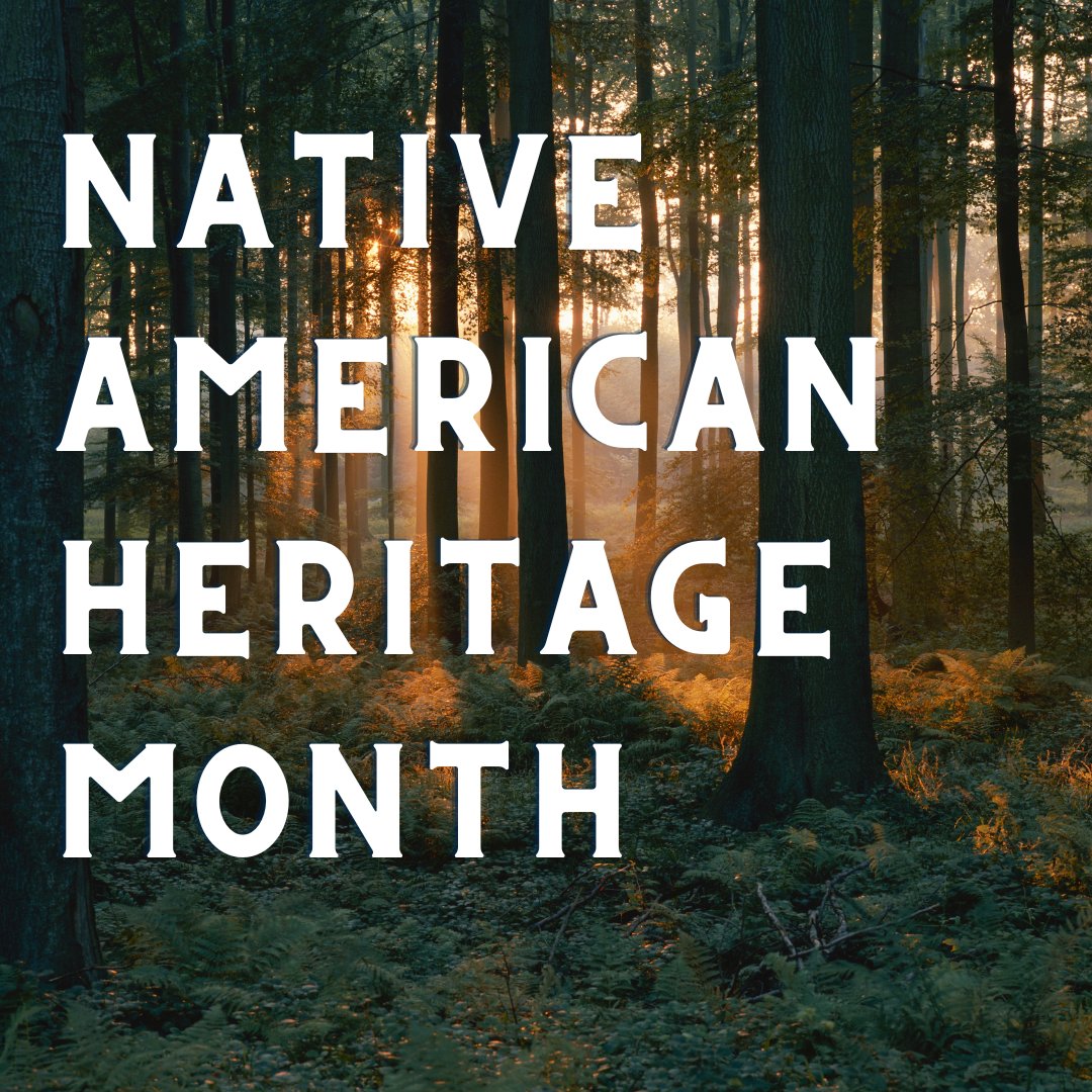 November is a time to celebrate rich and diverse cultures, traditions and histories and to acknowledge the important contributions of Indigenous people. Learn more about federally recognized tribes in Michigan here: bit.ly/3Mr8bU5