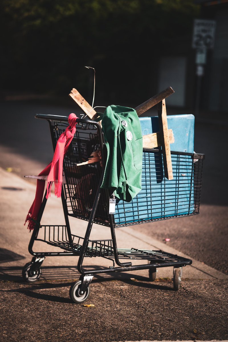 FreddieCarthy's tweet image. Took another stroll this morning. Captured a few things I’m really happy with 📷