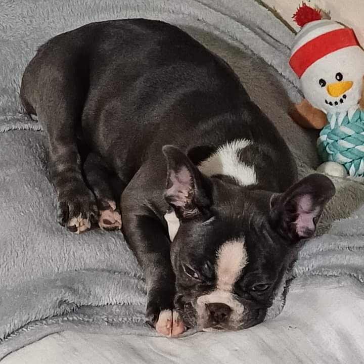 💗💗💗