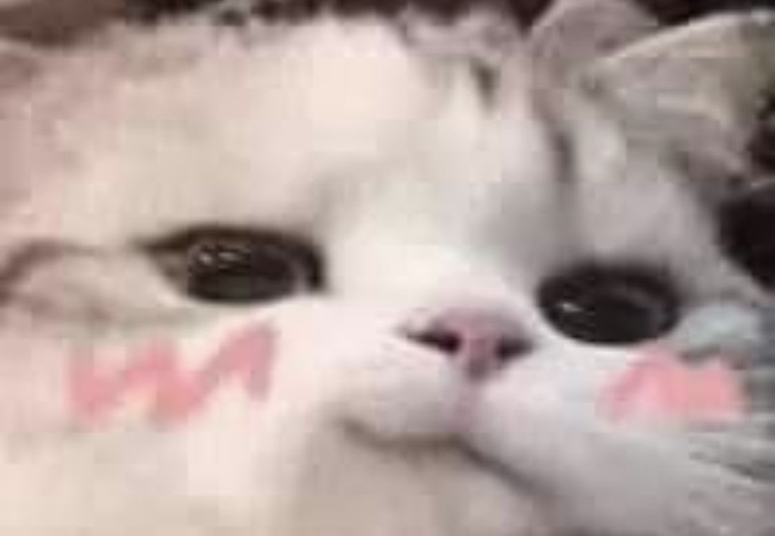 IM SO HAPPY TO ANNOUNCE IM NOW PART OF THE <a href="/Twitch/">Twitch</a> WOMEN’S GUILD!!!