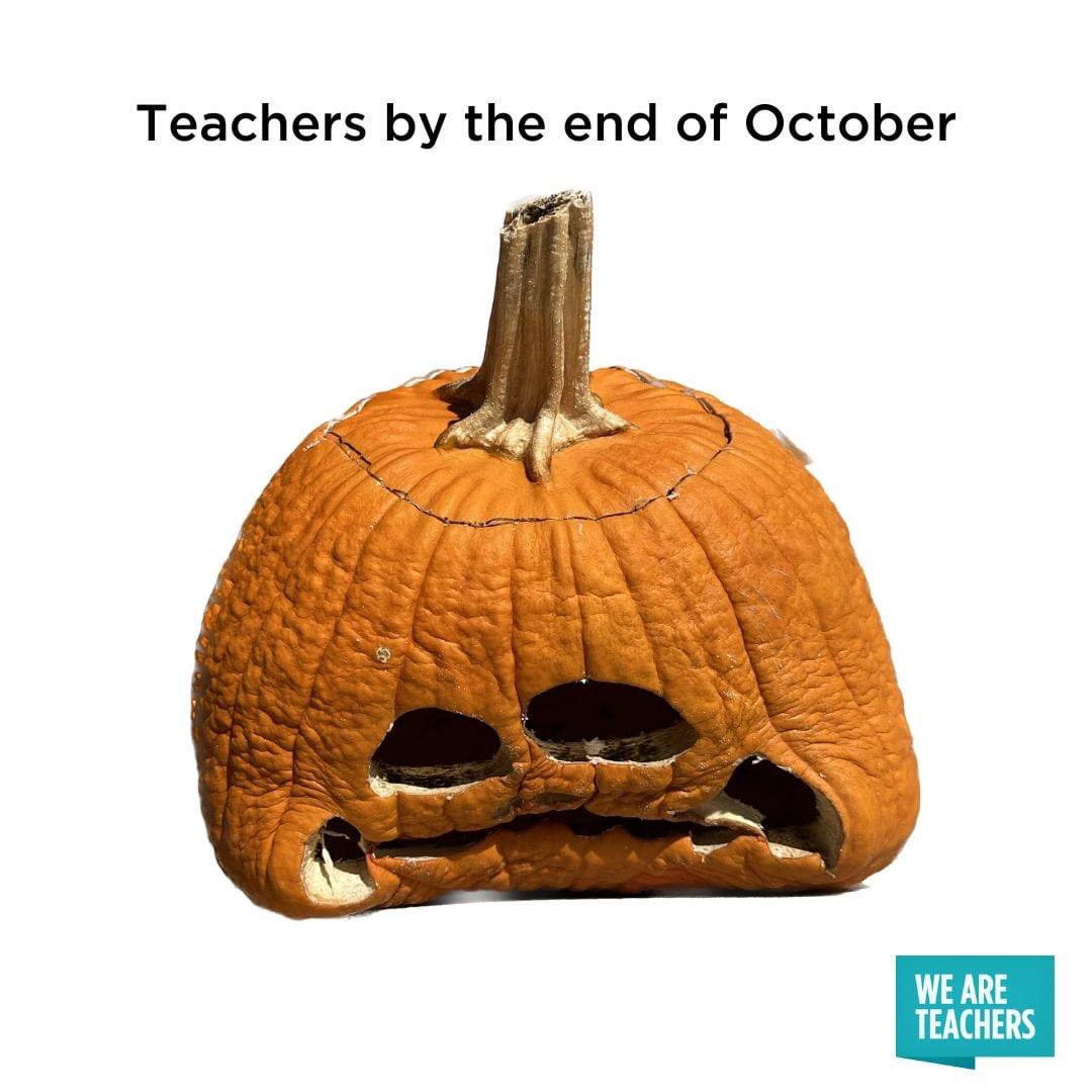 MsGSpEducator's tweet image. I feel this.