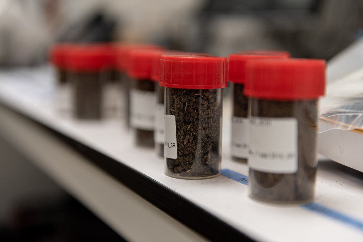 GIS IBiSA (@gis_ibisa) on Twitter photo Découvrez GenoSol-CRB, le #CRB de la plateforme <a href="/INRAE_GenoSol/">GenoSol</a>, qui conserve des ressources génétiques de #sols  ➡️  ibisa.net/annuaire-crb/g… Découvrez GenoSol-CRB, le #CRB de la plateforme <a href="/INRAE_GenoSol/">GenoSol</a>, qui conserve des ressources génétiques de #sols  ➡️  ibisa.net/annuaire-crb/g…