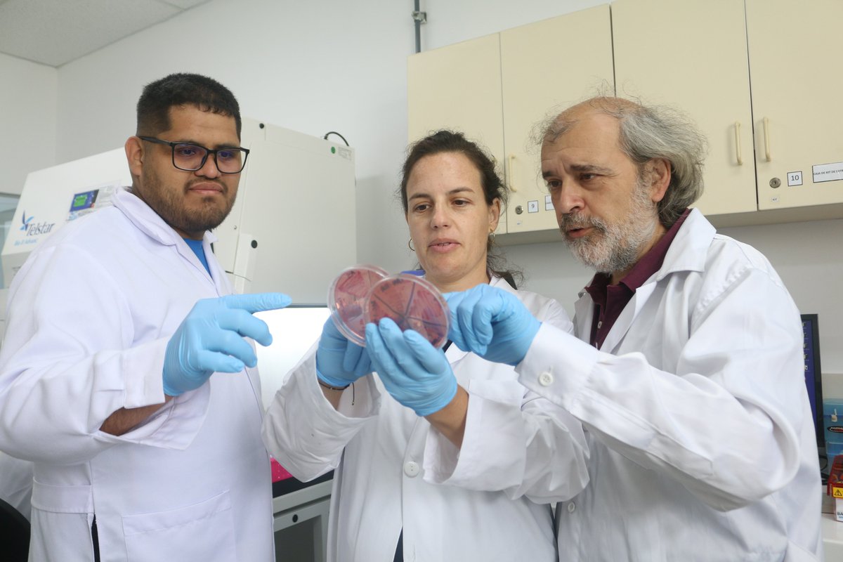 Científica Divulga tweet media