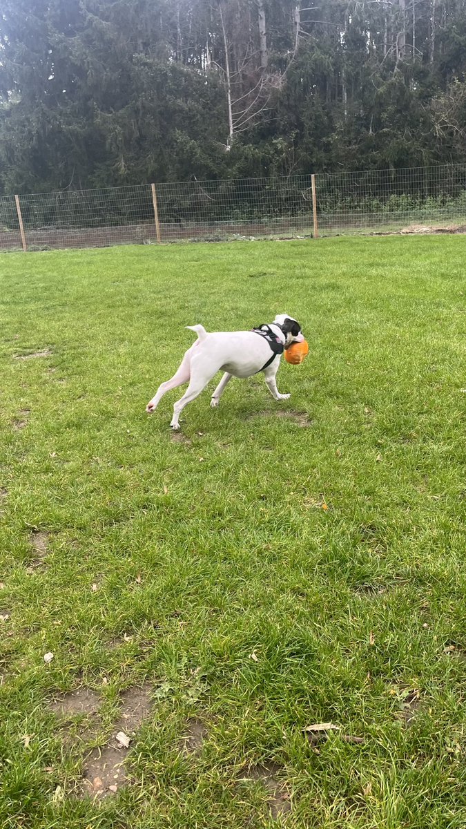 Charlotte tweet media