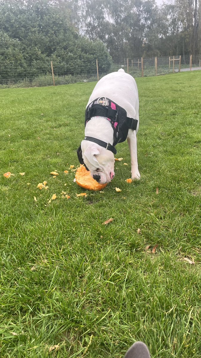 Charlotte tweet media