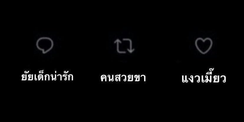 meow meow tweet media