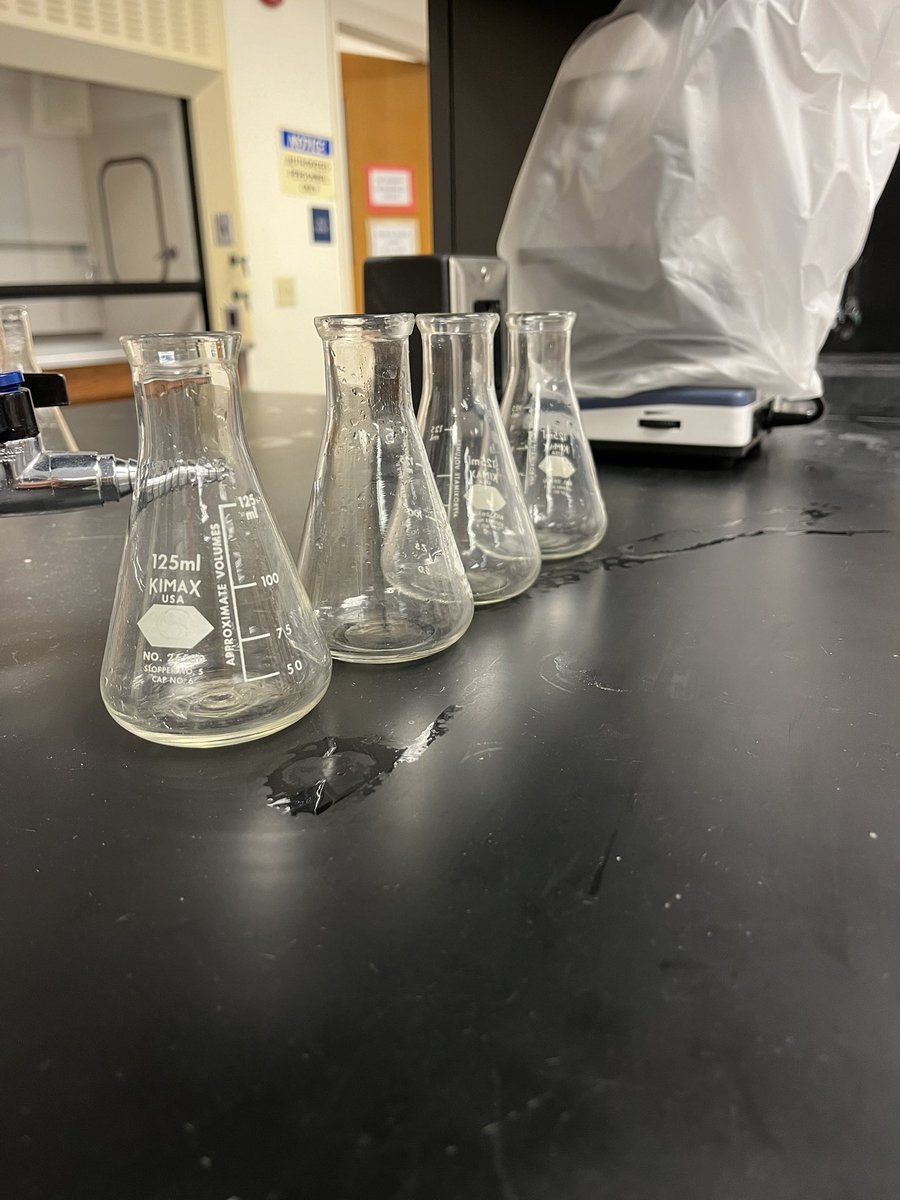 ehmyrick's tweet photo. Just because it’s Halloween doesn’t mean learning stops in this mad scientist’s classroom! #hbio #candycorn #halloween @NKCPS @NewKentStrong https://t.co/gsteQtjEZn