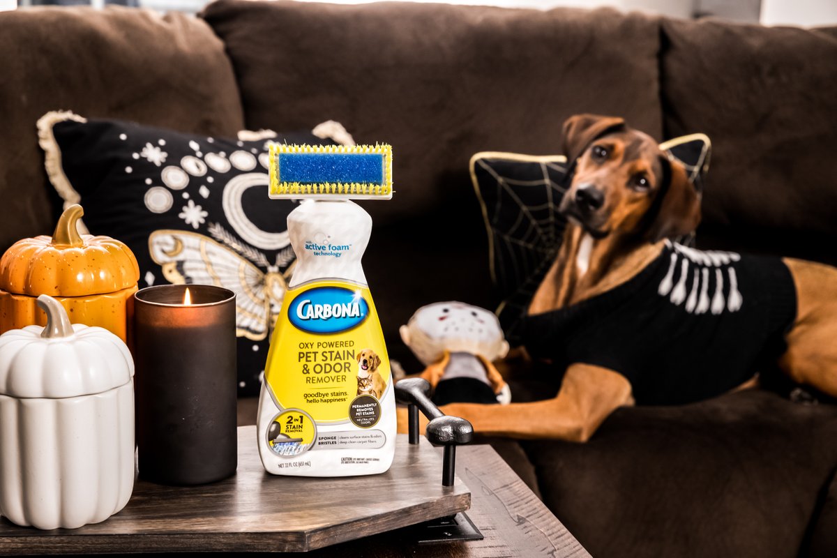 This good boy deserves all the treats! 

We've got the tricks under control. ;)