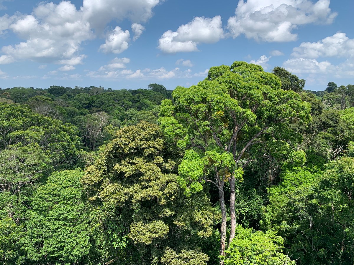 Erol Foundation tweet media