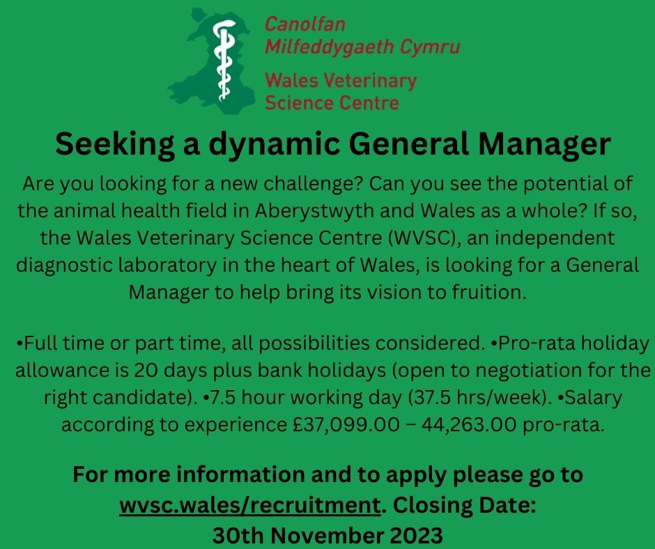 The WVSC are looking for a new fearless leader. Do you know anybody that could fit the bill? Please tag them below and share the post. wvsc.wales/recruitment/