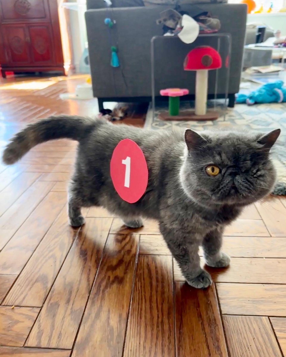 Jen Chung tweet media