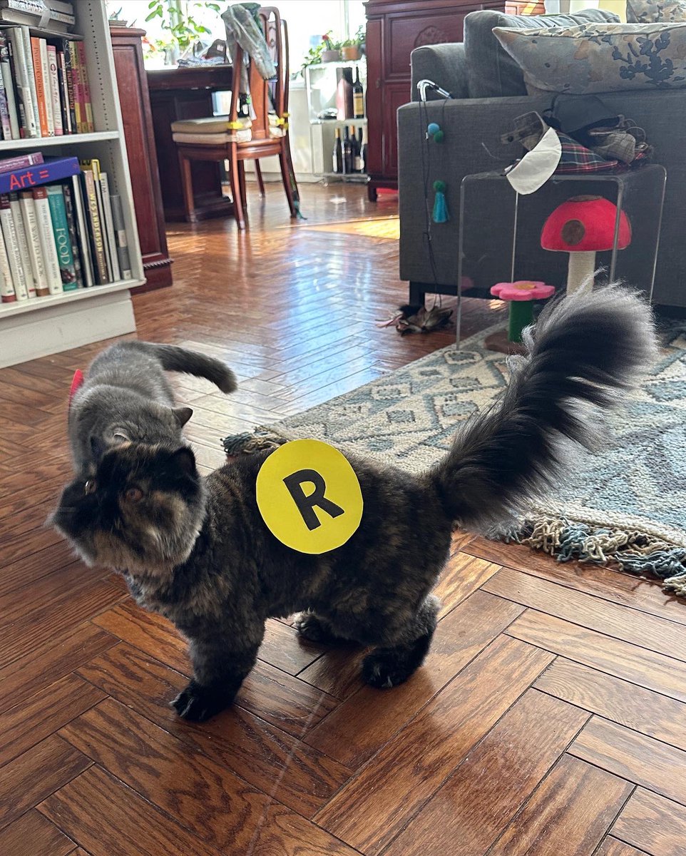 Jen Chung tweet media