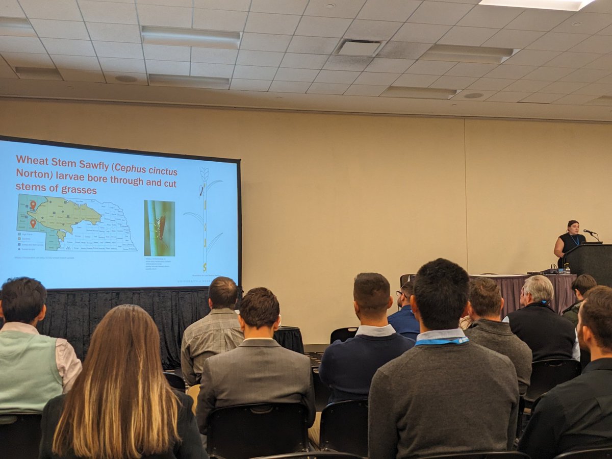 UNL Small Grains Breeding- Frels Lab tweet media