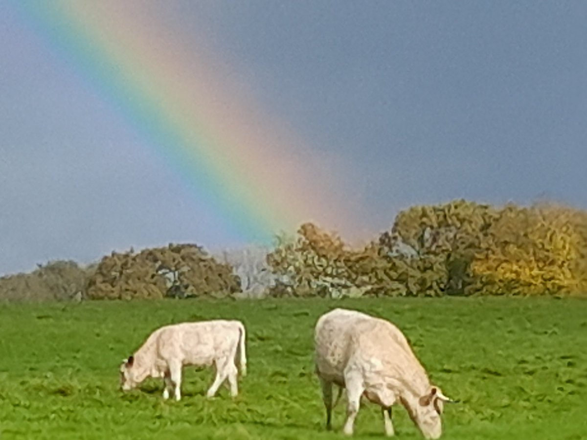 Simon Clarke 🌈💙 tweet media
