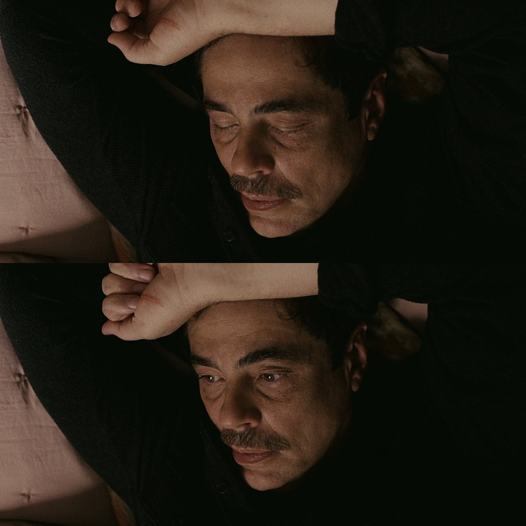 #Beniciodeltoro #repitlemovie