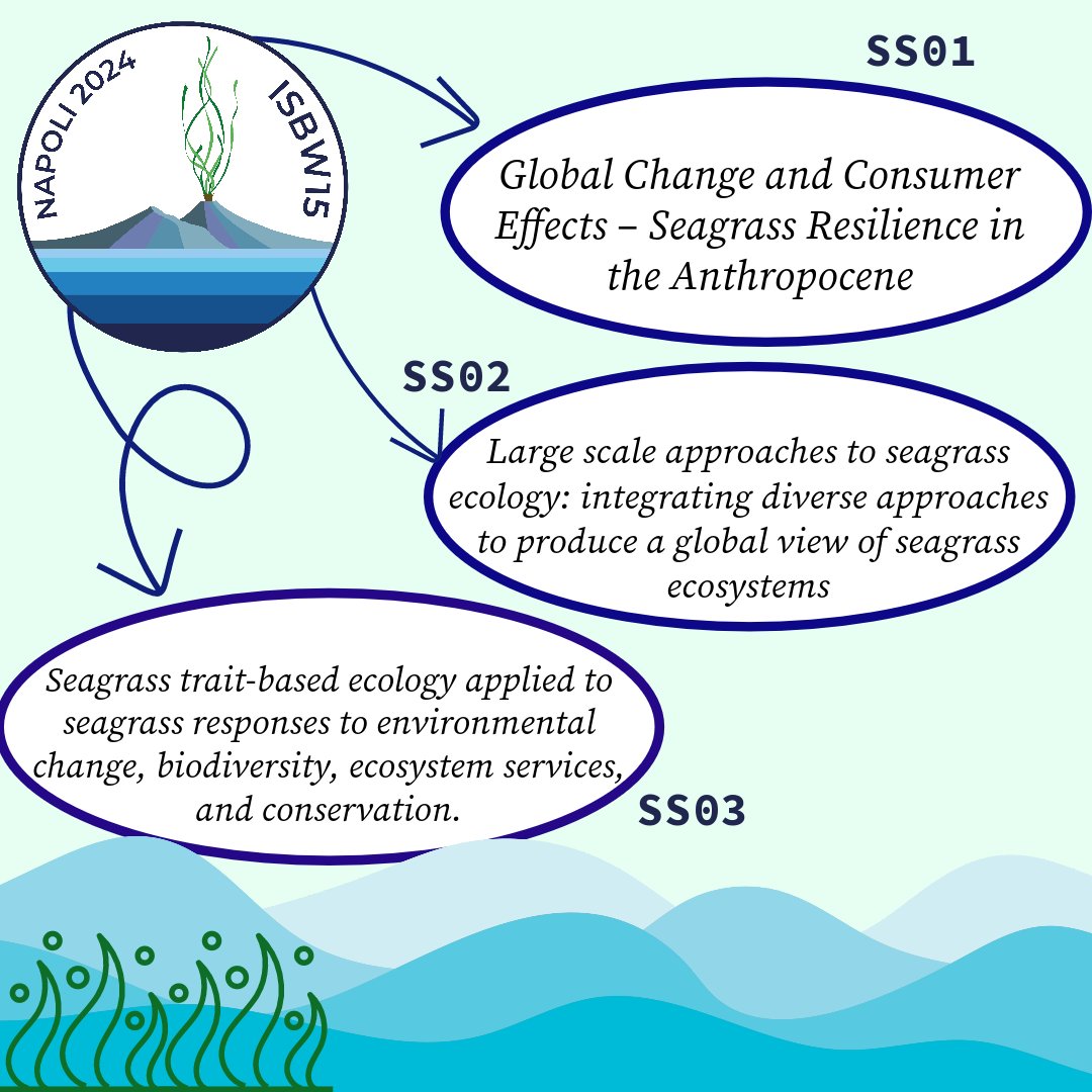 ISBW15_WSC24's tweet photo. 🗣️📣 #isbw15 First round of scientific session presentations!
#SS01➡️Complex interactions global change/consumer effects and seagrass resilience/functioning
#SS02 ➡️Large-scale approaches to seagrass ecology
#SS03 ➡️Trait-based approach in seagrasses
Submit an abstract 👉💯 https://t.co/KiY1BMlwjK