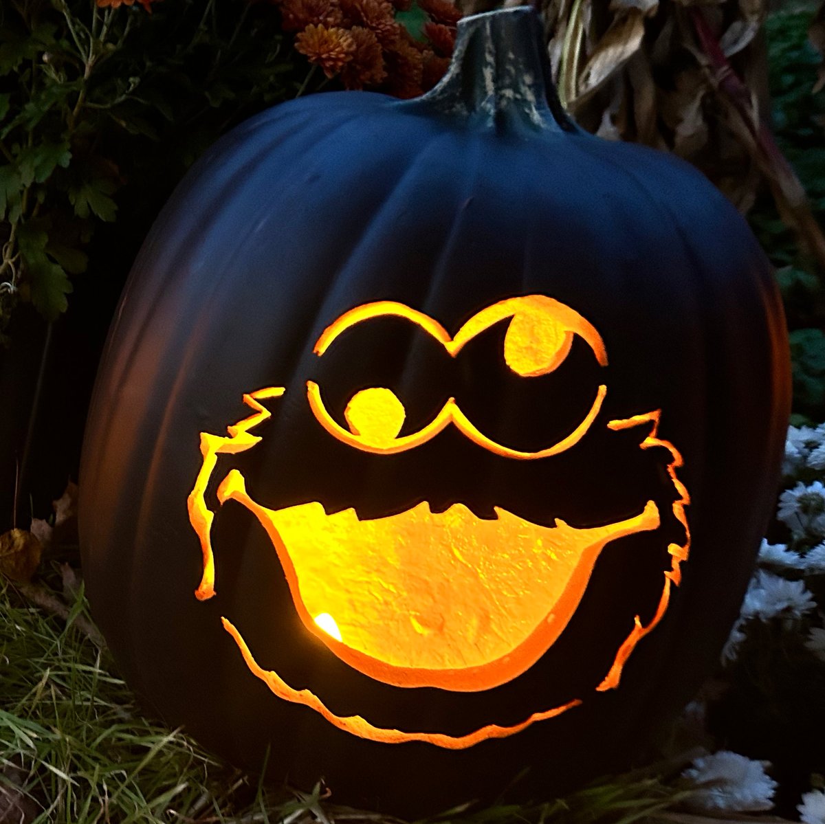 New England Public Media tweet media