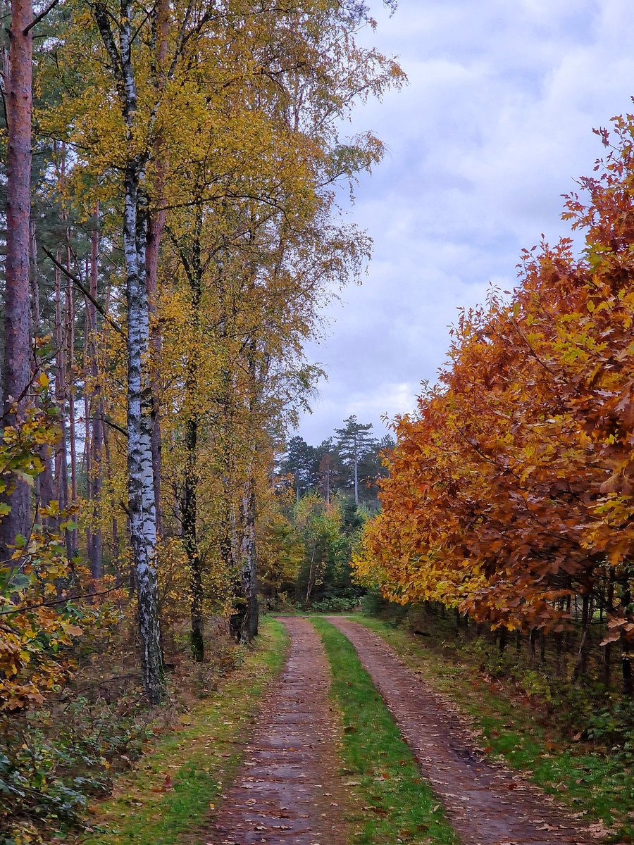 Good evening my lovely friends.