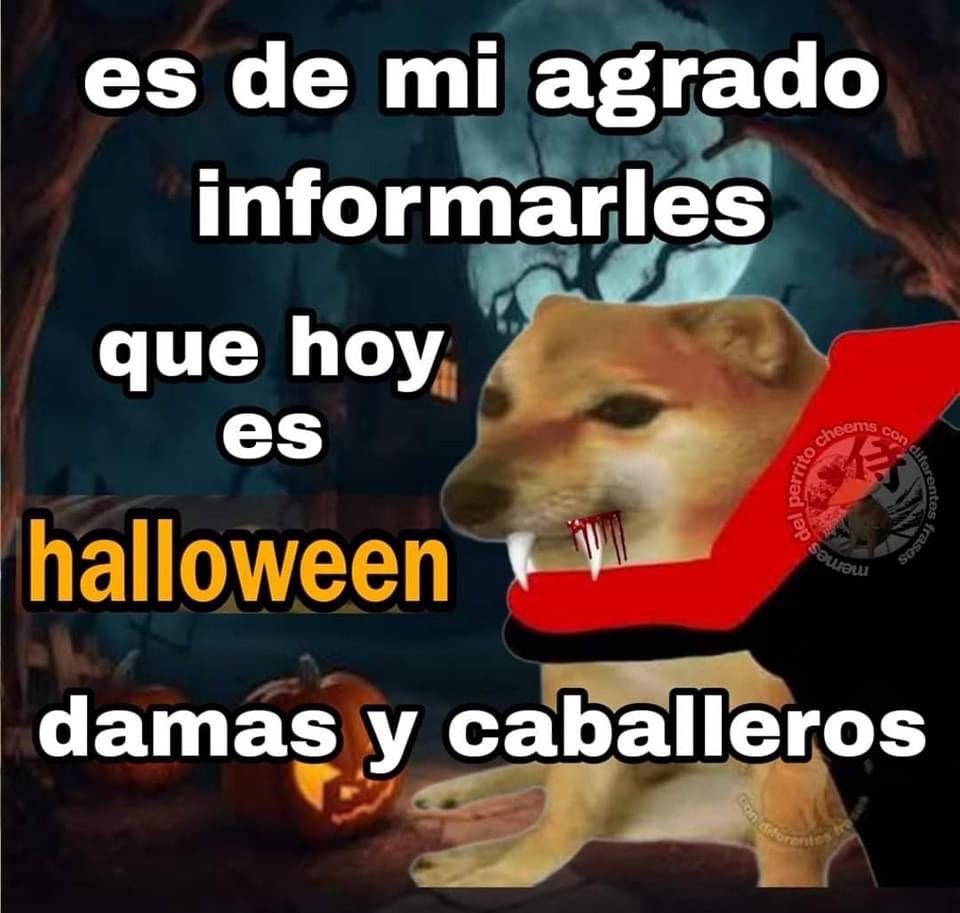 Ritalin_P's tweet image. 