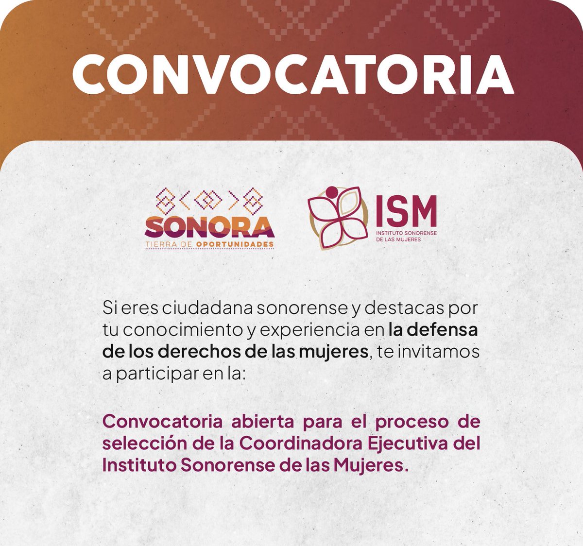 gobiernosonora's tweet photo. 🟣 ¡Atención mujeres de #Sonora! 📢🙋‍♀️

Si eres ciudadana sonorense y destacas por tu conocimiento y experiencia en la defensa de los derechos de las mujeres, te invitamos a participar en el proceso de selección de la Coordinadora Ejecutiva del Instituto Sonorense de las Mujeres.

Consulta las bases de la convocatoria aquí ➡️ https://t.co/fpf3cvkXqi

#CompromisosFirmes #TierraDeOportunidades