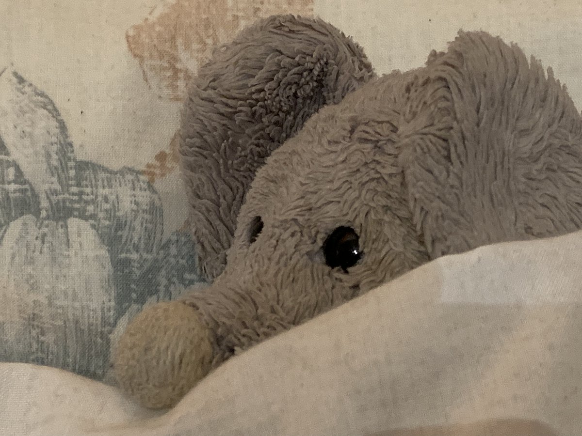 𝕎𝕙𝕚𝕤𝕜𝕖𝕣𝕤 𝕄𝕠𝕦𝕤𝕖 🧀 tweet media