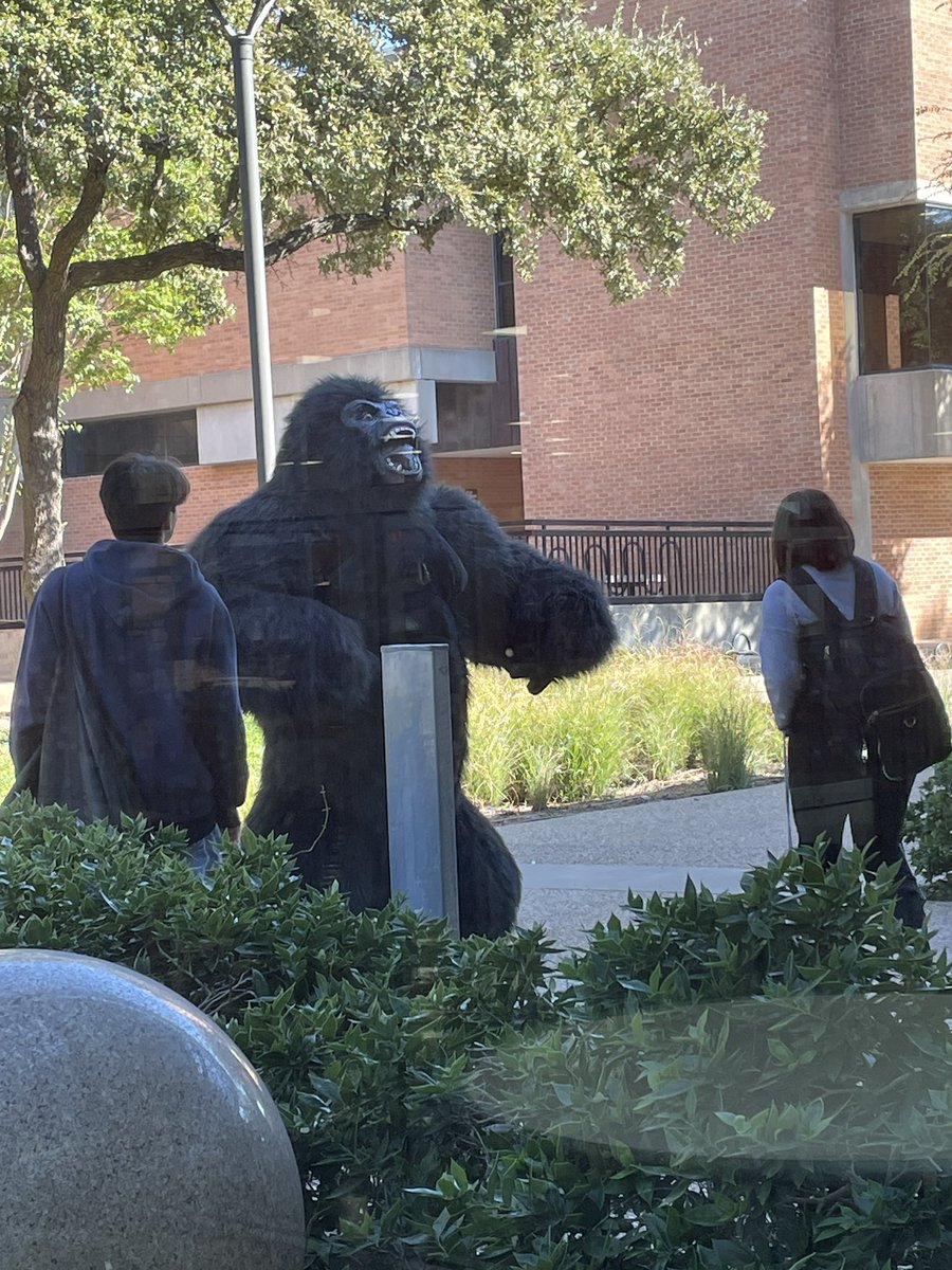 The things you see on Halloween on a college campus. 🦍 <a href="/richland_dc/">Dallas College Richland Campus</a>