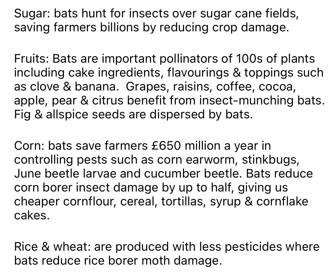 AlexMorssAuthor's tweet photo. And here’s the science bit about food links between bats, booze, baking &amp; Halloween #Batbake : https://t.co/mOIfrhrgux
