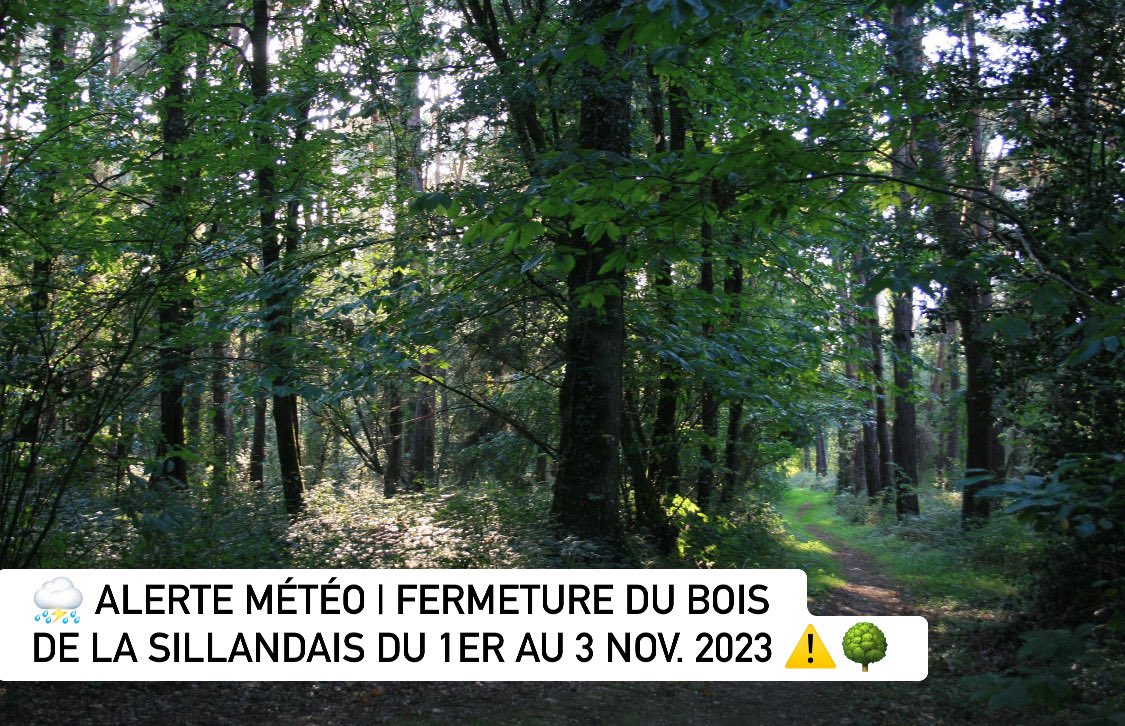 #VigilanceMétéo 🟡 | Tempête Ciaran ⛈

⚠️🌳 Par arrêté du 31 octobre 2023, l’accès au #Bois de la #Sillandais est fermé au public à compter du mercredi 1er novembre dès 8h et jusqu’au vendredi 3 novembre 2023, 12h.