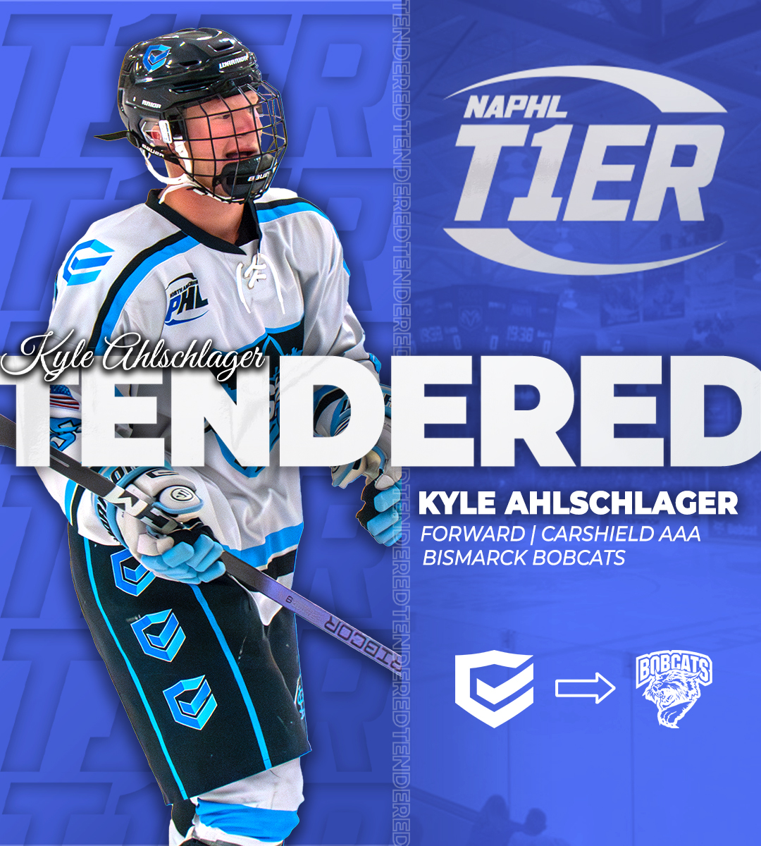 NAPHL tweet media