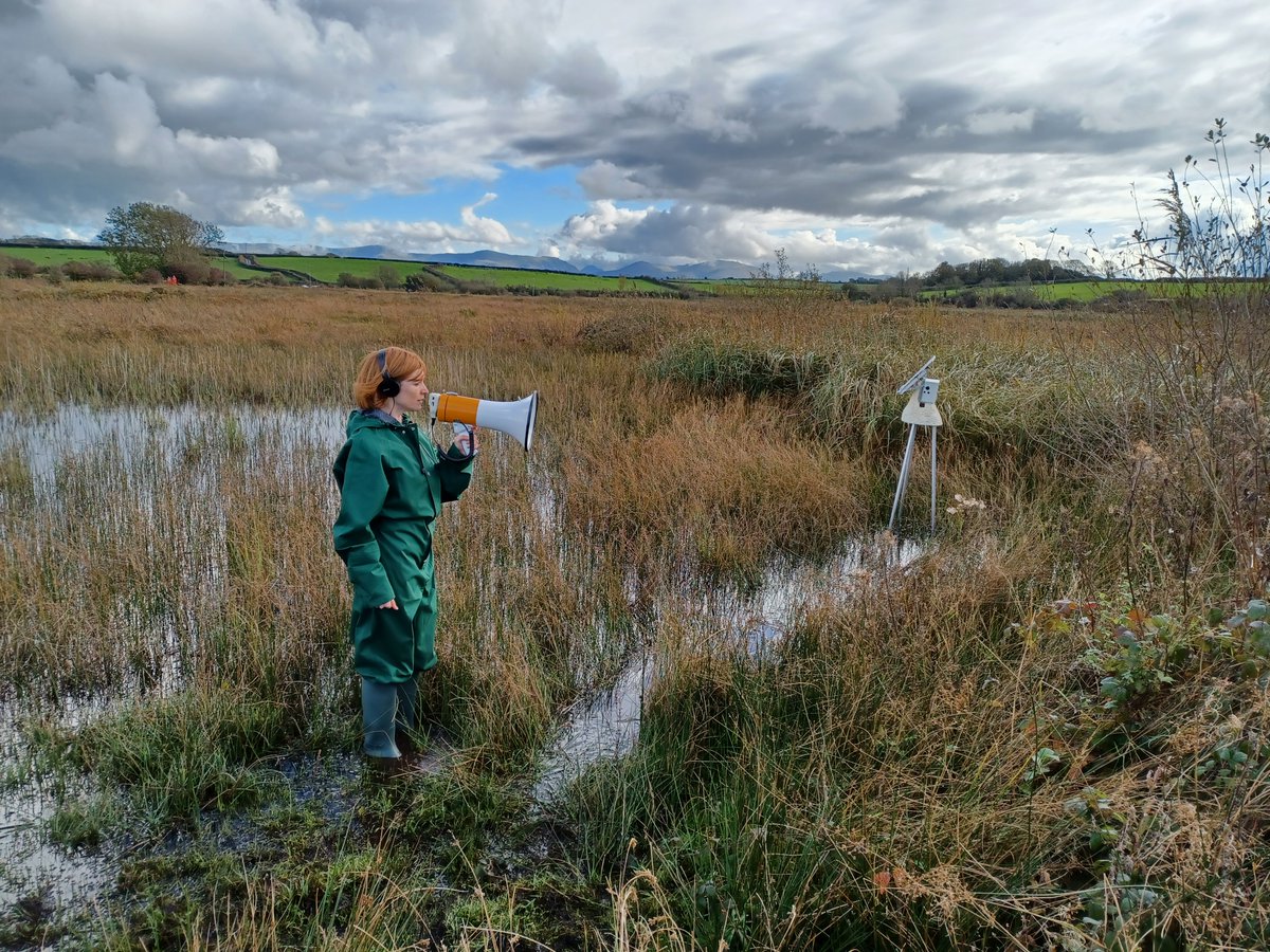 Fantastic visitor feedback after experiencing ‘Peat Bodies’ at Cors Bodeilio by artists: @manonawst @_teddyhunter, Mari Rose Pritchard, Julie Upmeyer. Time to reflect on people’s responses to fens, to grasp the breathing of peatland through layers of history. #WalesPeatlandAction