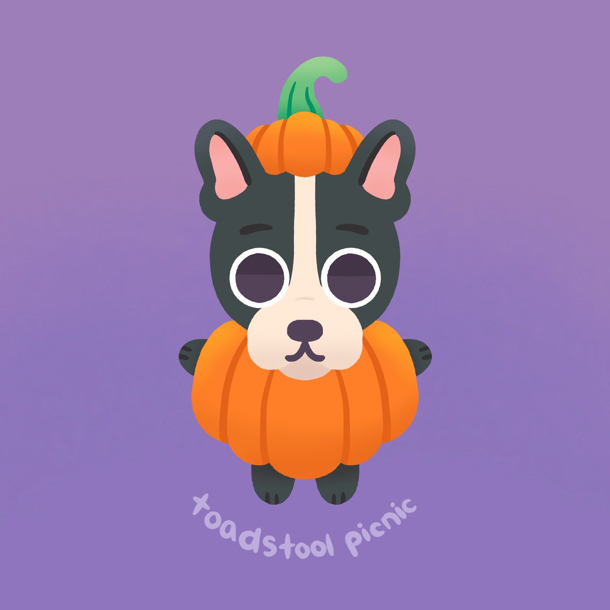 Toadstool Picnic tweet media