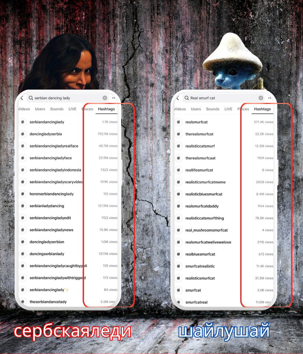 #SerbianDancingLady vs #RealSmurfCat tiktok official stats. 

Quiz time!
Left is at $400K marketcap and 5 days old
Right is at $21M marketcap and 47 days old

Calculate the potential 👀