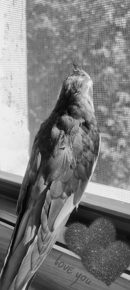 Sen, bu çirkin dünyanın pencere önü çiçeğisin. ♡