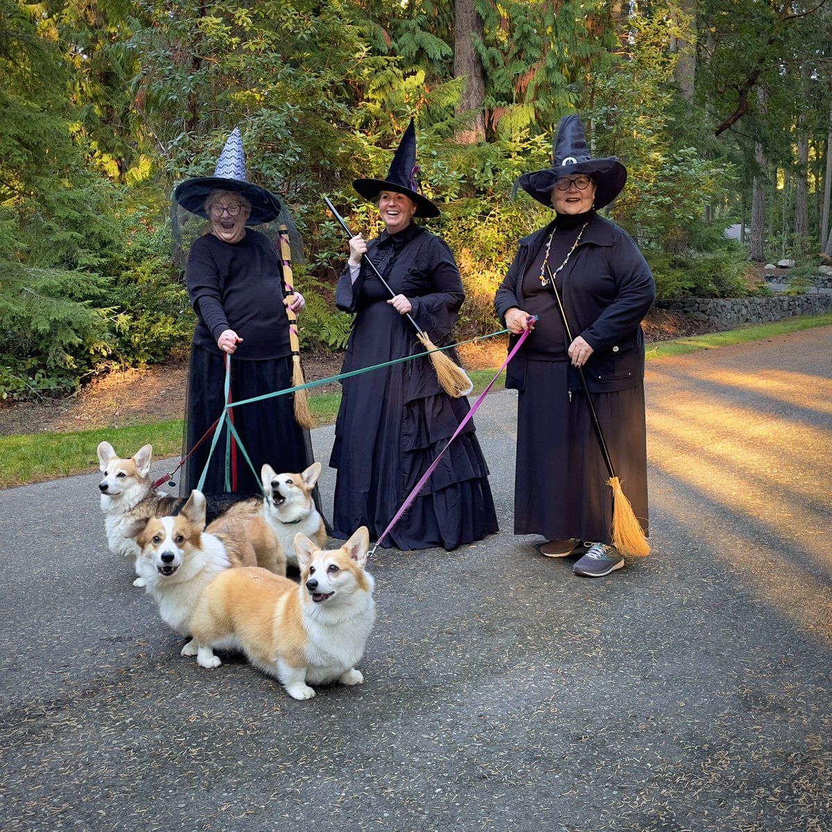 Happy Halloween everyone!
#CorgiCrew